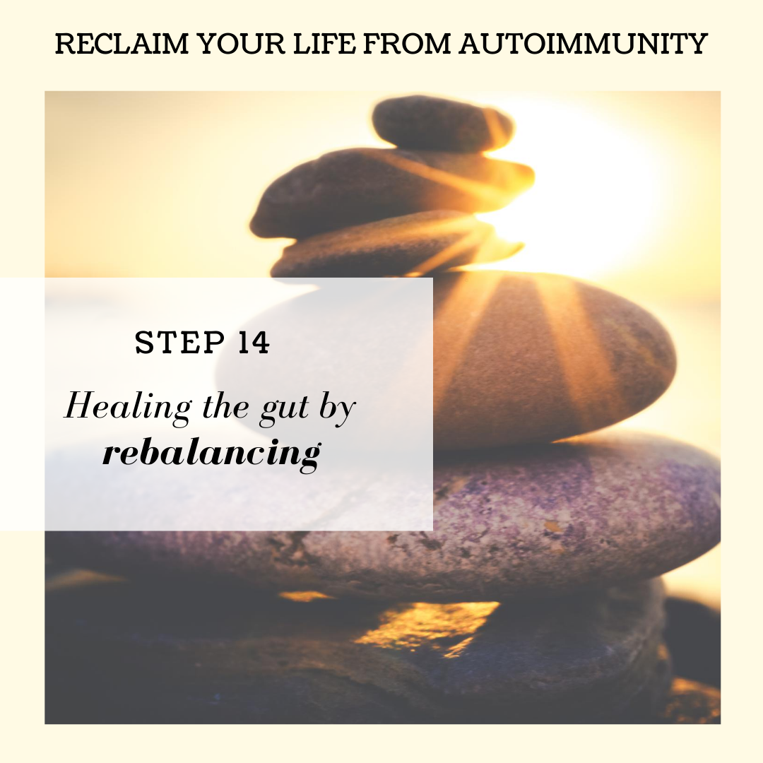 STEP 14: HEALING THE GUT BY REBALANCING